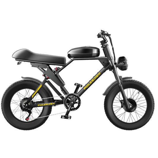 POLEEJIEK PLJ-F4 adult electric bicycle 1500W*2 road E-bike 48V25.6AH city ebike,  fat tire E-Mountain bike