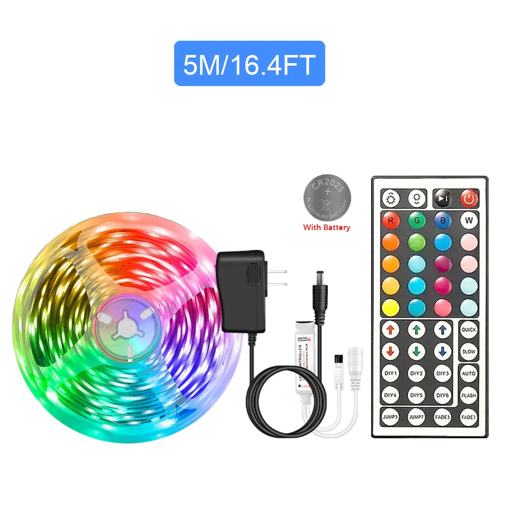 RGB LED Strip Lights 5050 with Remote Controller 12V Tape Light