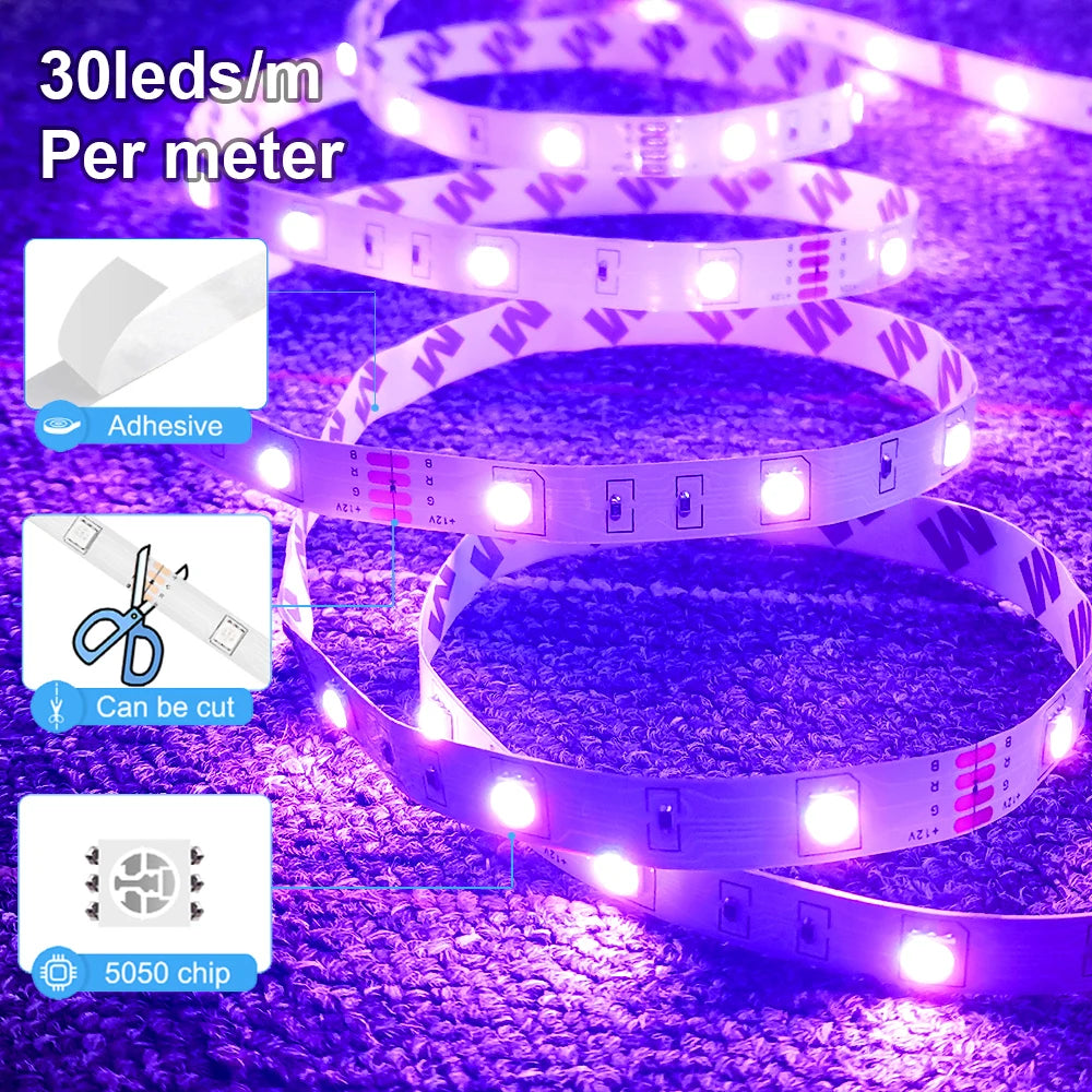RGB LED Strip Lights 5050 with Remote Controller 12V Tape Light