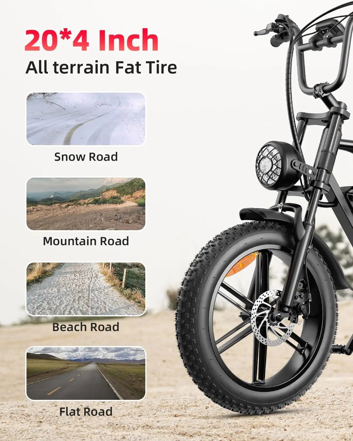 V9-G60 Electric Bike for Adults, 48V 20Ah(960WH) Ebike with Removable Battery, 20" Fat Tire E Dirt Bike,Dual Shock, Customized
