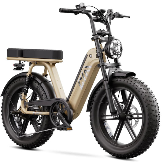 TST R00C 1500W Electric Bike, 48V 15Ah, 28 MPH, 60 Miles Range, 20" Fat Tires, Rear Seat