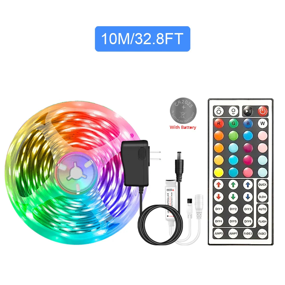RGB LED Strip Lights 5050 with Remote Controller 12V Tape Light