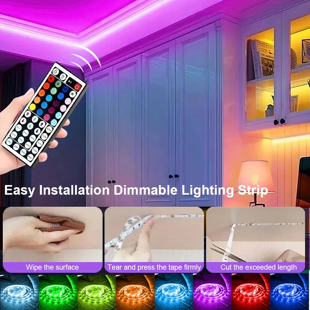 RGB LED Strip Lights 5050 with Remote Controller 12V Tape Light
