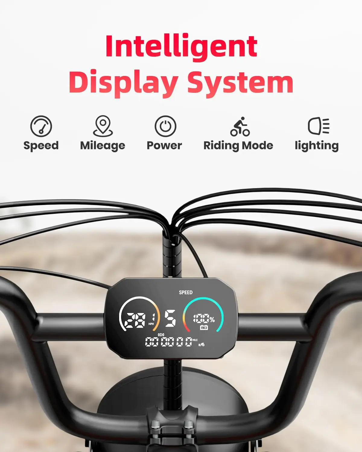 V9-G60 Electric Bike for Adults, 48V 20Ah(960WH) Ebike with Removable Battery, 20" Fat Tire E Dirt Bike,Dual Shock, Customized